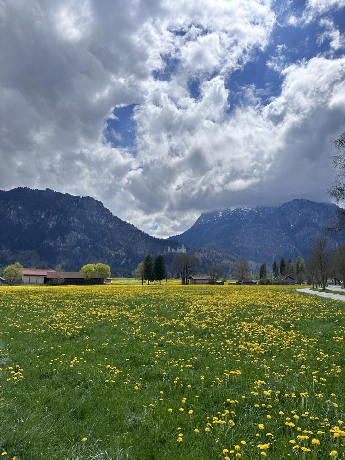 Apartmán Gaestehaus Apollo Schwangau Exteriér fotografie